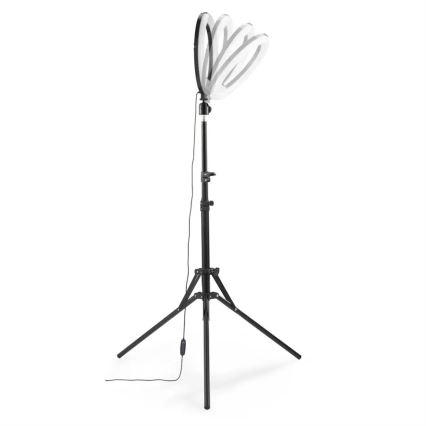 Hama - Iluminação em anel LED com regulação com tripé LED/10W/5V diâmetro 30 cm + controlo remoto
