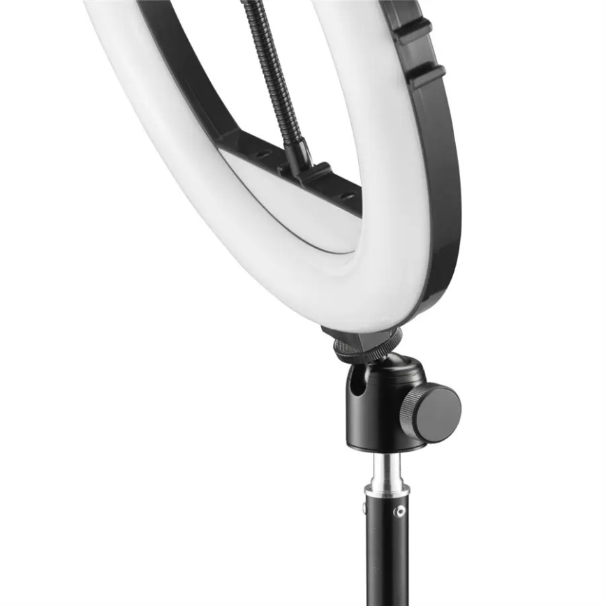 Hama - Iluminação em anel LED com regulação com tripé LED/10W/5V diâmetro 30 cm + controlo remoto