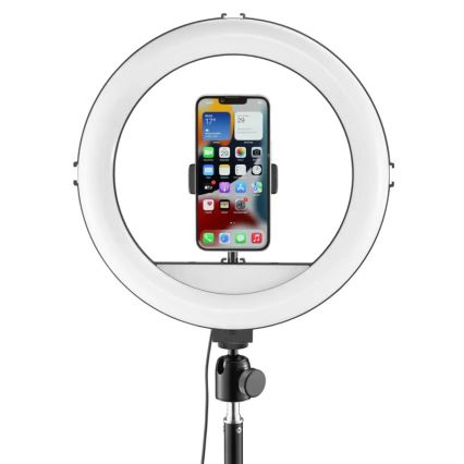 Hama - Iluminação em anel LED com regulação com tripé LED/10W/5V diâmetro 30 cm + controlo remoto