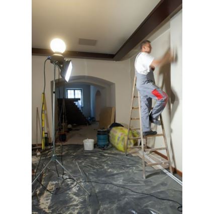 Helios 306-WLG223 - Iluminação LED para trabalho de exterior WORK GLOBE 2 LED/23W/230V IP44