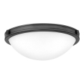 Hinkley - Candeeiro de teto COLLIER 2xE27/40W/230V diâmetro 34,6 cm preto