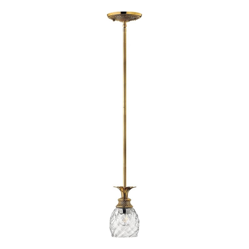 Hinkley - Candeeiro suspenso PLANTATION 1xE27/60W/230V dourado