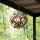 Hinkley - Candelabro exterior CARSON 5xE14/40W/230V IP44