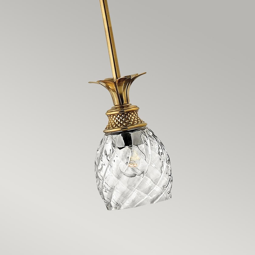 Hinkley - Candeeiro suspenso PLANTATION 1xE27/60W/230V dourado