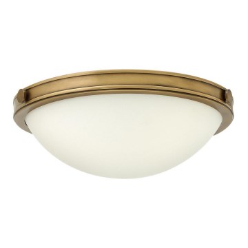 Hinkley - Iluminação de teto COLLIER 2xE27/40W/230V