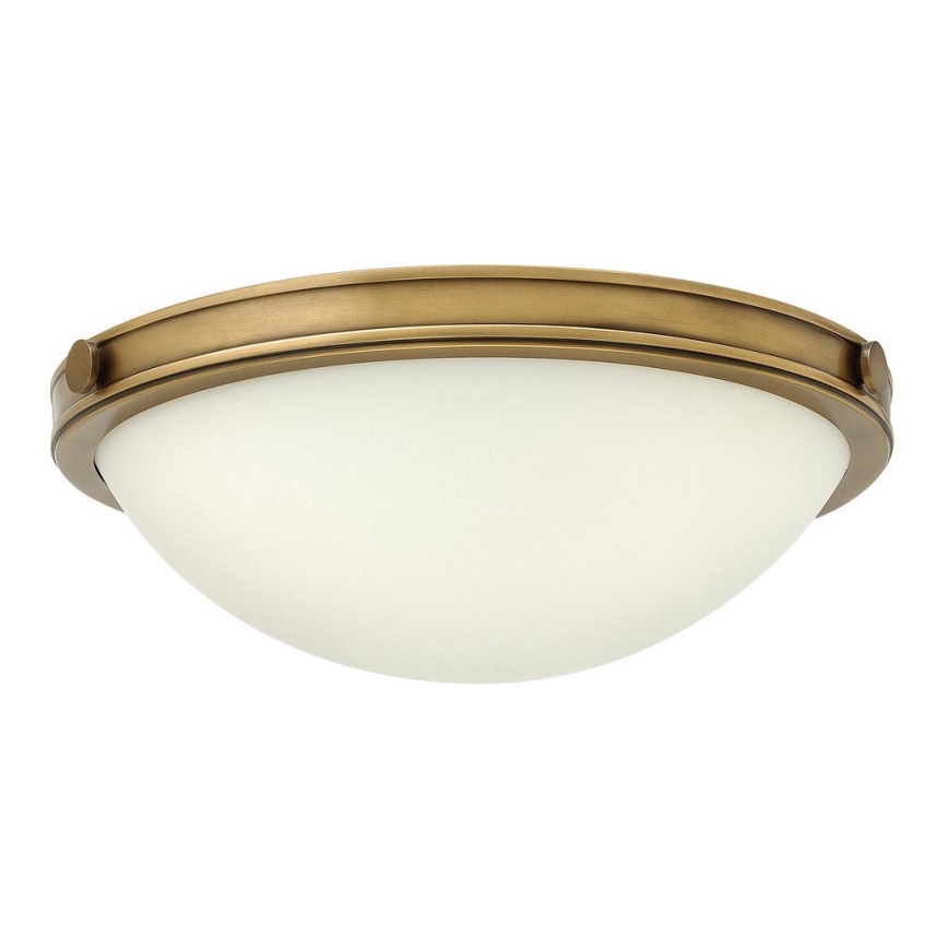 Hinkley - Iluminação de teto COLLIER 2xE27/40W/230V