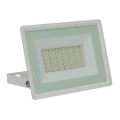 Holofote exterior LED NOCTIS LUX 3 LED/30W/230V 3000K IP65 branco
