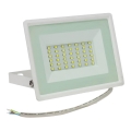 Holofote exterior LED NOCTIS LUX 3 LED/30W/230V 4000K IP65 branco