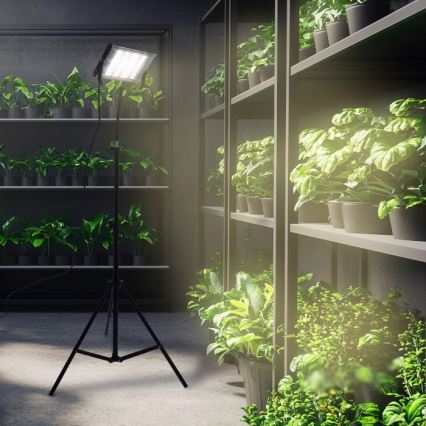 Holofote LED com suporte para o cultivo de plantas FIRON LED/45W/230V IP54 preto