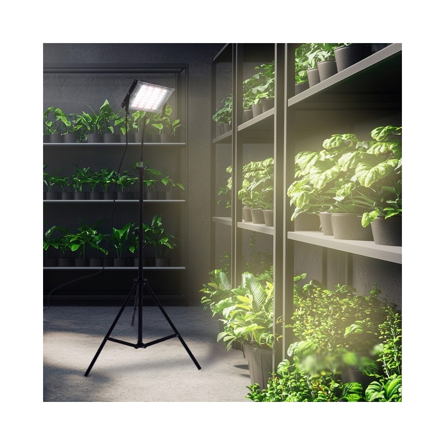 Holofote LED com suporte para o cultivo de plantas FIRON LED/45W/230V IP54 preto