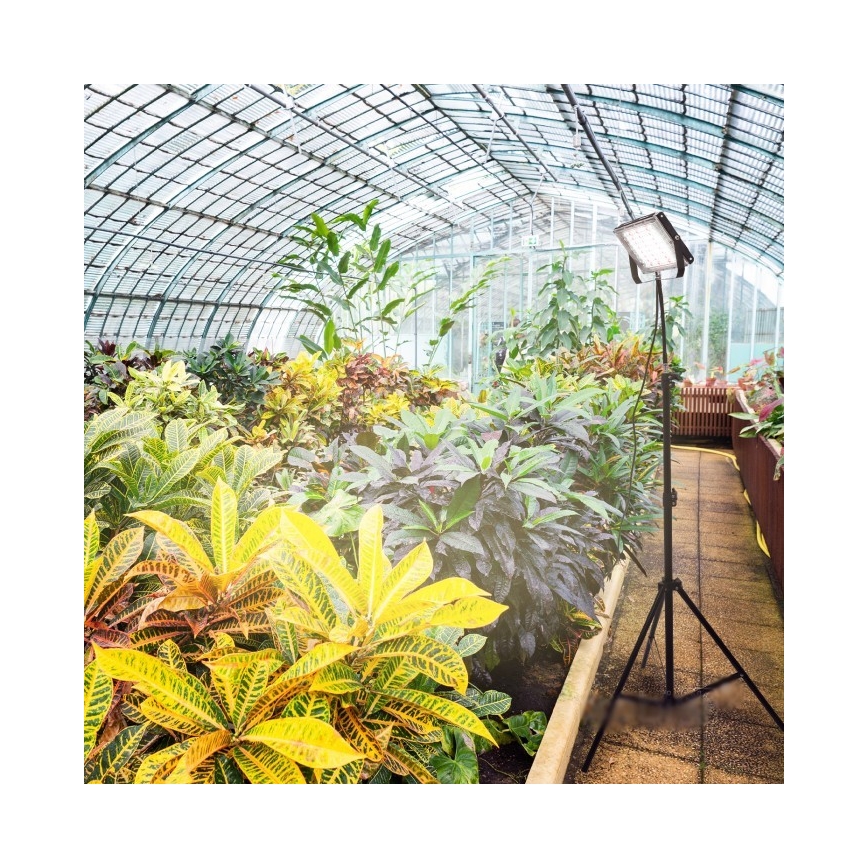 Holofote LED com suporte para o cultivo de plantas FIRON LED/45W/230V IP54 preto