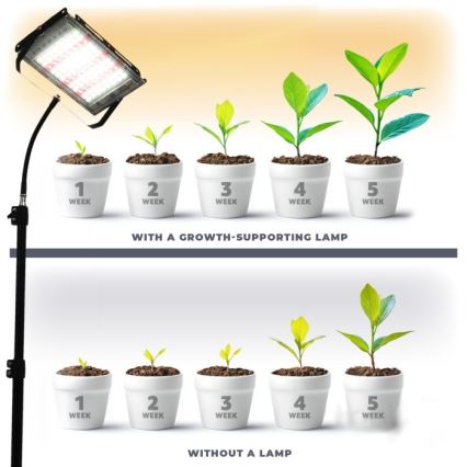 Holofote LED com suporte para o cultivo de plantas FIRON LED/45W/230V IP54 preto