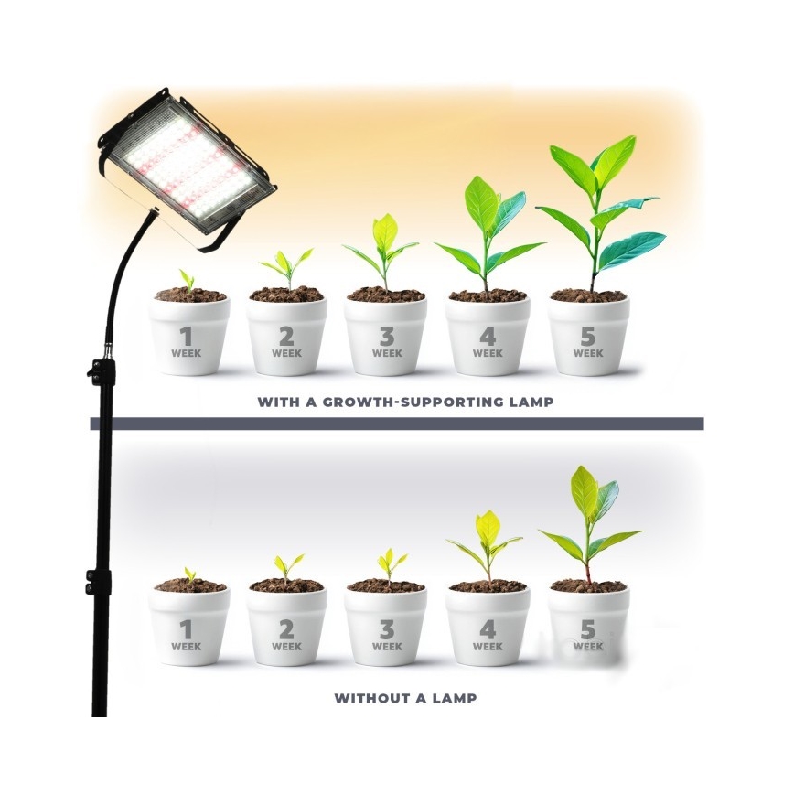 Holofote LED com suporte para o cultivo de plantas FIRON LED/45W/230V IP54 preto
