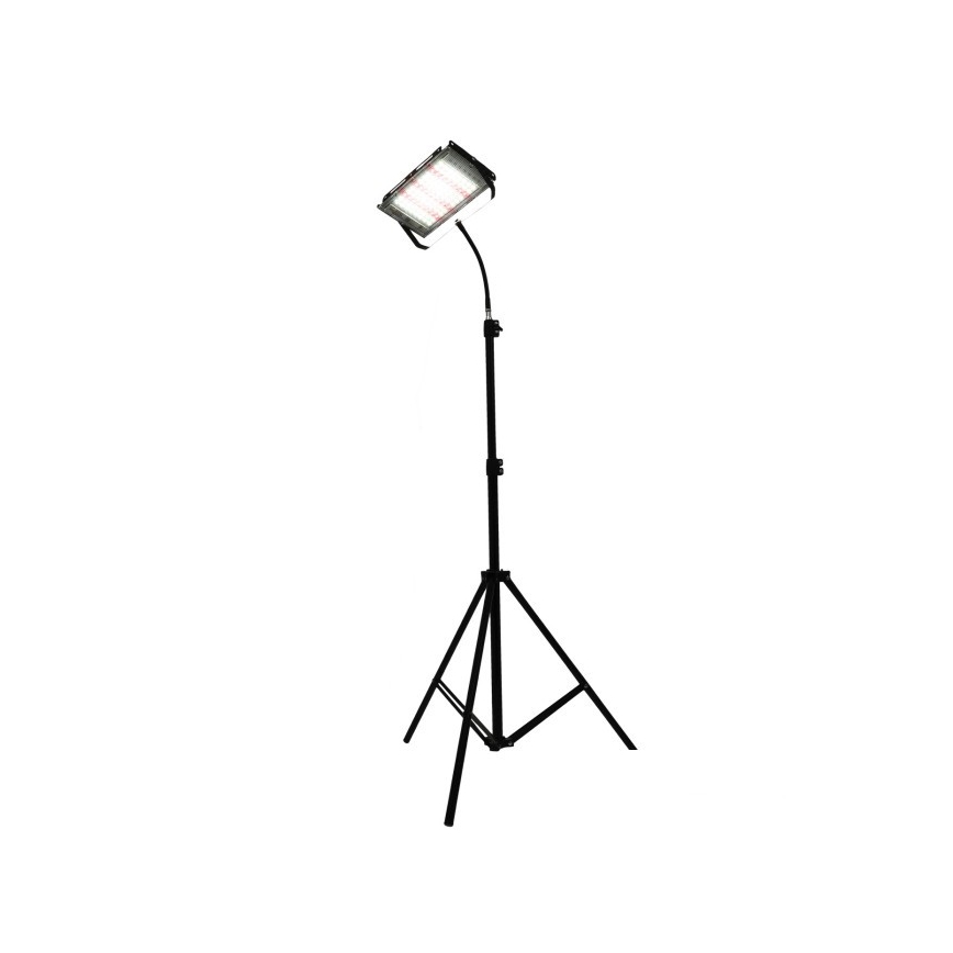 Holofote LED com suporte para o cultivo de plantas FIRON LED/45W/230V IP54 preto