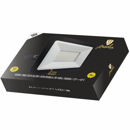 Holofote LED LED/100W/230V IP65