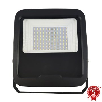 Holofote LED PROFI LED/100W/180-265V 5000K IP65