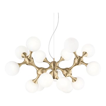 Ideal Lux - Candeeiro suspenso NODI 15xE14/28W/230V latão