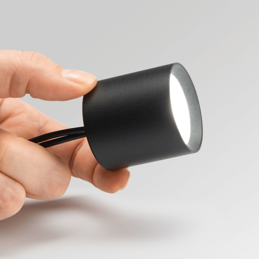Ideal Lux - Foco LED com regulação NITRO LED/4W/230V diâmetro 4,2 cm CRI 90 preto