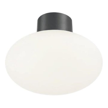 Ideal Lux - Iluminação de teto exterior CLIO 1xE27/42W/230V IP44 antracite