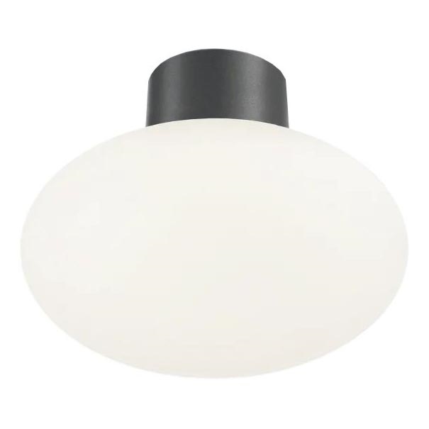 Ideal Lux - Iluminação de teto exterior CLIO 1xE27/42W/230V IP44 antracite