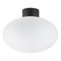 Ideal Lux - Iluminação de teto exterior CLIO 1xE27/42W/230V IP44 preto