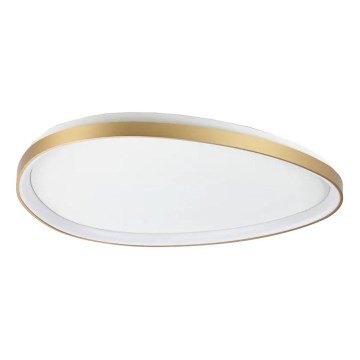 Ideal Lux - Iluminação de teto LED com regulação GEMINI LED/42W/230V diâmetro 81 cm CRI 90 dourado