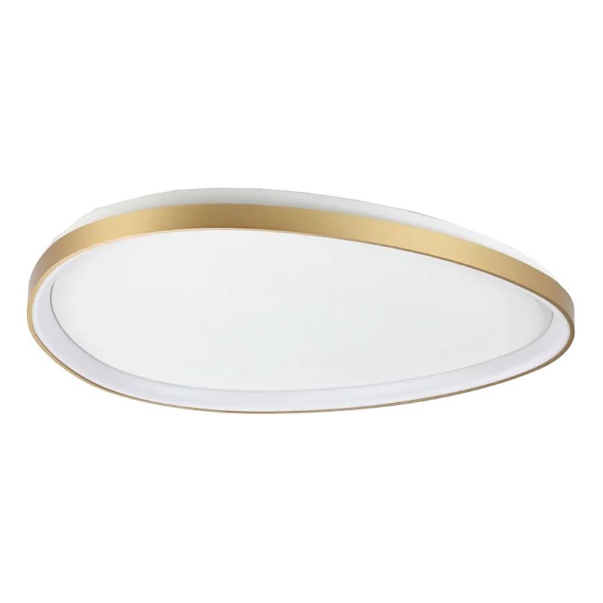 Ideal Lux - Iluminação de teto LED com regulação GEMINI LED/42W/230V diâmetro 81 cm CRI 90 dourado