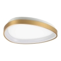 Ideal Lux - Iluminação de teto LED GEMINI LED/23W/230V diâmetro 42,5 cm CRI 90 dourado