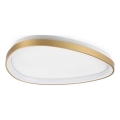 Ideal Lux - Iluminação de teto LED GEMINI LED/30W/230V diâmetro 61 cm CRI 90 dourado