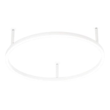 Ideal Lux - Iluminação de teto LED ORACLE SLIM LED/29W/230V 4000K diâmetro 50 cm branco