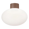 Ideal Lux - Luminária de teto exterior CLIO 1xE27/42W/230V IP44 castanha