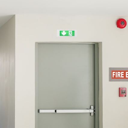 Iluminação de emergência LED EMERGENCY EXIT SAMSUNG CHIP LED/3,8W/230V 6000K