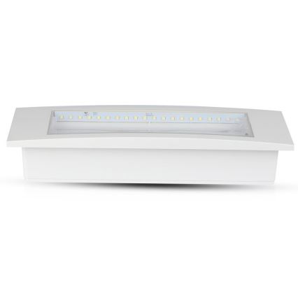 Iluminação de emergência LED EMERGENCY EXIT SAMSUNG CHIP LED/3,8W/230V 6000K