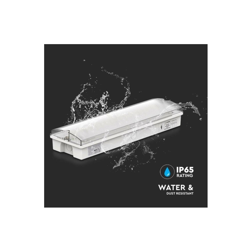 Iluminação de emergência LED EMERGENCY EXIT LED/3W/230V 6400K IP65