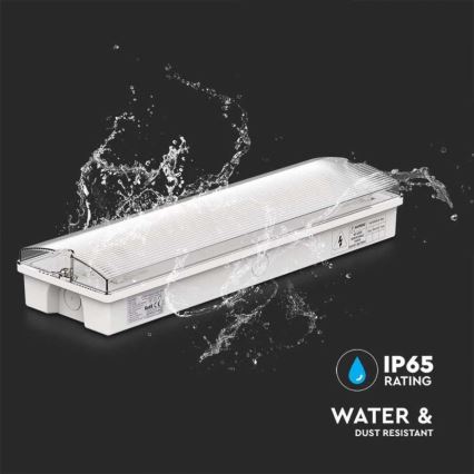 Iluminação de emergência LED com um teste de funcionalidade regular EMERGENCY EXIT LED/3W/230V 6400K IP65