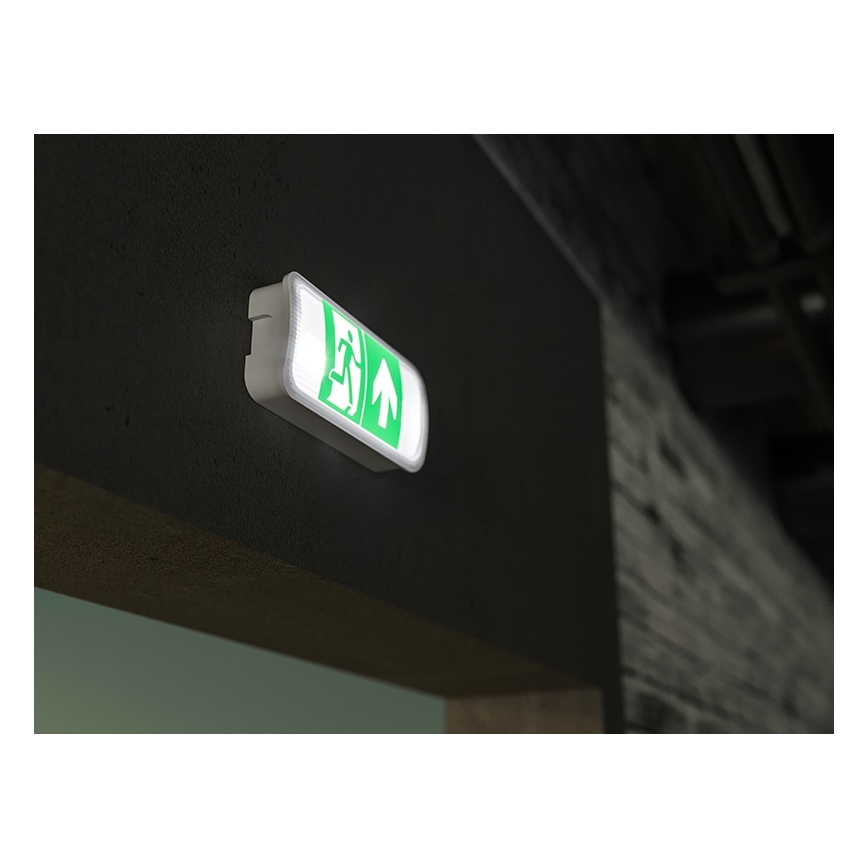 Iluminação de emergência LED VIRGO EVO LED/1W/230V 6000K IP65