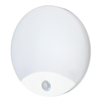 Iluminação de parede de casa de banho LED com sensor ORBIS LED/10W/230V IP44