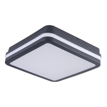 Iluminação de parede exterior BENO LED/18W/230V 4000K antracite IP54