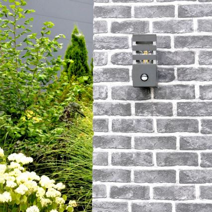 Iluminação de parede exterior com sensor TEKSAS 1xE27/12W/230V IP44 antracite