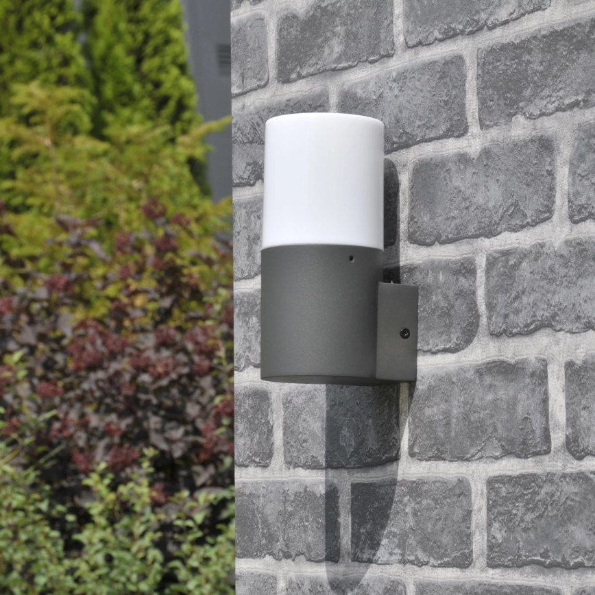 Iluminação de parede exterior DALLAS 1xE27/12W/230V IP44 grafite