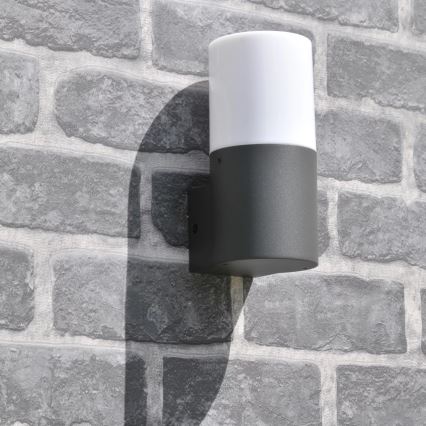 Iluminação de parede exterior DALLAS 1xE27/12W/230V IP44 grafite