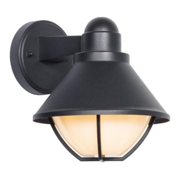 Iluminação de parede exterior EDINA 1xE27/60W/230V IP44 preto