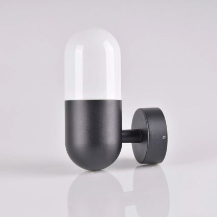Iluminação de parede exterior HORTEN 1xE27/10W/230V IP44