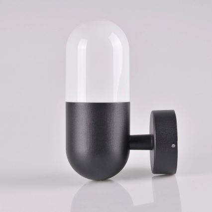 Iluminação de parede exterior HORTEN 1xE27/10W/230V IP44
