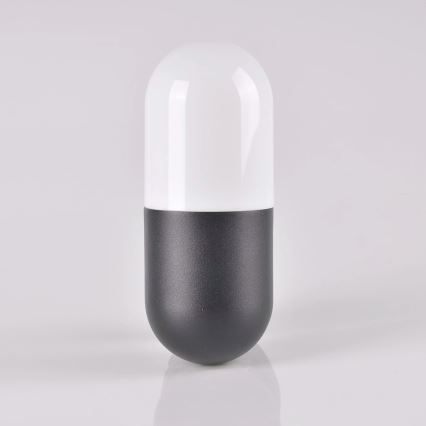 Iluminação de parede exterior HORTEN 1xE27/10W/230V IP44