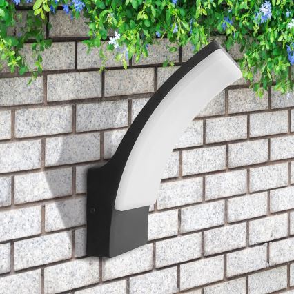 Iluminação de parede exterior LED AMY LED/12W/230V IP44 preto