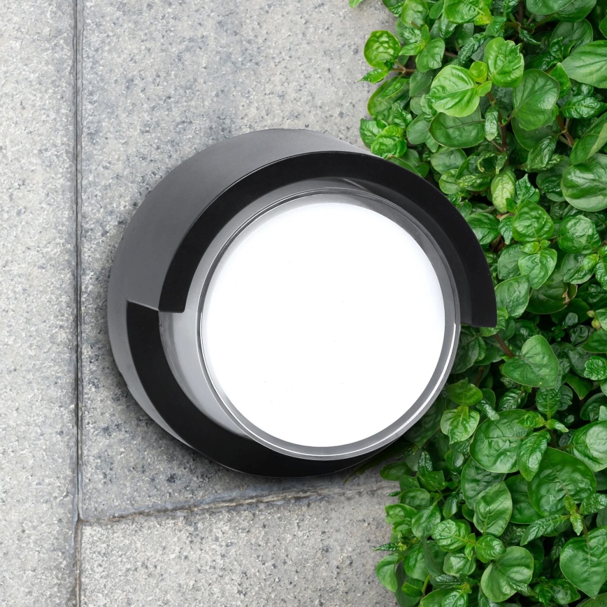 Iluminação de parede exterior LED ESSEN LED/10W/230V IP44 preto