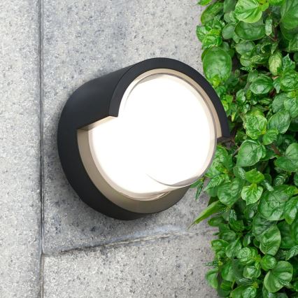 Iluminação de parede exterior LED ESSEN LED/10W/230V IP44 preto