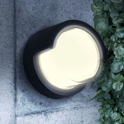 Iluminação de parede exterior LED ESSEN LED/10W/230V IP44 preto