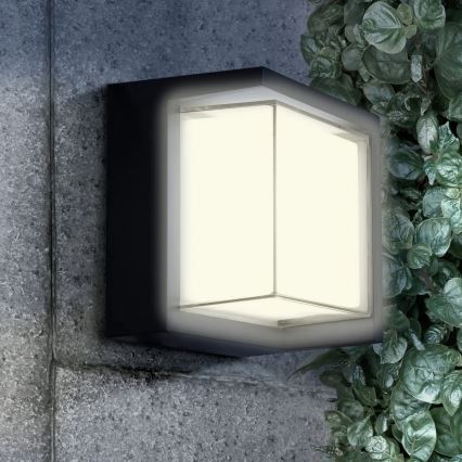 Iluminação de parede exterior LED ESSEN LED/12W/230V IP44 preto